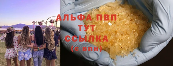 стаф Арсеньев