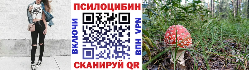 где можно купить   Майский  hydra сайт  Псилоцибиновые грибы ЛСД 